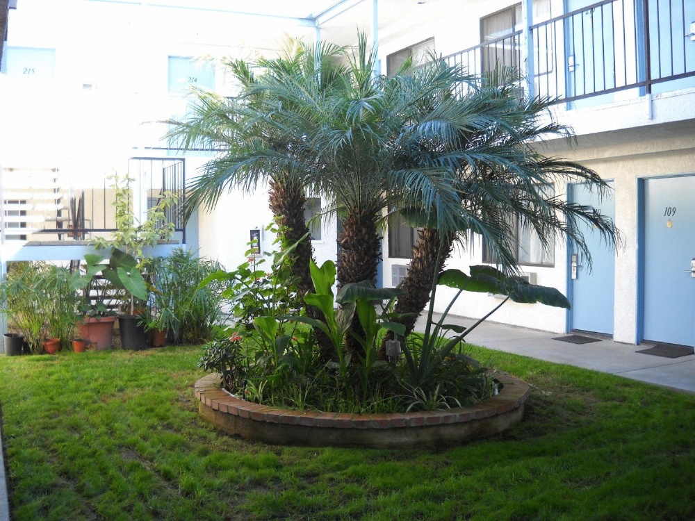 Palms Courtyard Inn