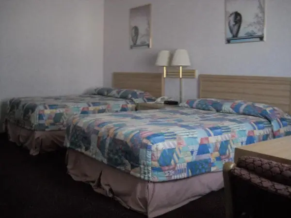 Palms Courtyard Inn 5